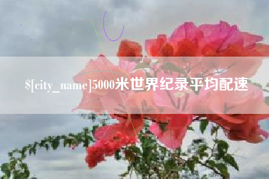 永新5000米世界纪录平均配速