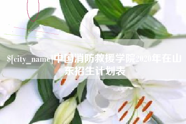 永新中国消防救援学院2020年在山东招生计划表