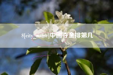永新中国夺金排第几