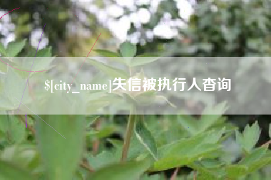永新失信被执行人杳询