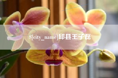 永新邱县王子磊