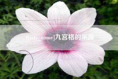永新九宫格的来源