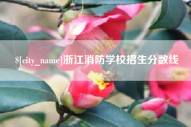 永新浙江消防学校招生分数线
