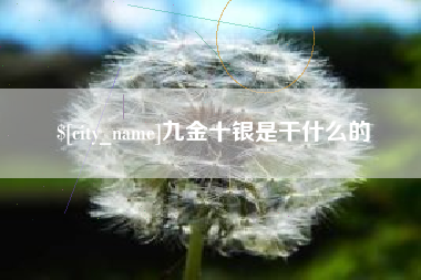 永新九金十银是干什么的