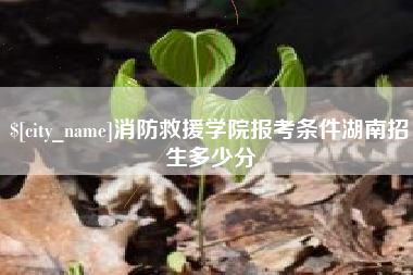 永新消防救援学院报考条件湖南招生多少分
