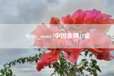 永新中国金牌18金