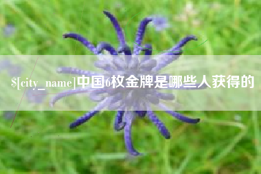 永新中国6枚金牌是哪些人获得的