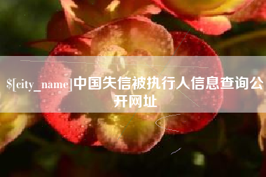永新中国失信被执行人信息查询公开网址