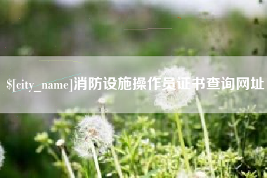 永新消防设施操作员证书查询网址