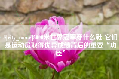 永新5000米世界冠军穿什么鞋-它们是运动员取得优异成绩背后的重要“功臣”