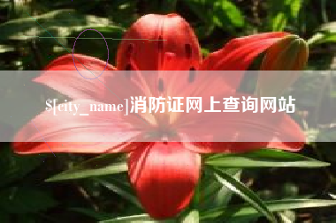 永新消防证网上查询网站