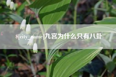 永新九宫为什么只有八卦