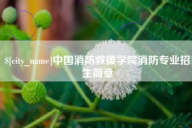 永新中国消防救援学院消防专业招生简章