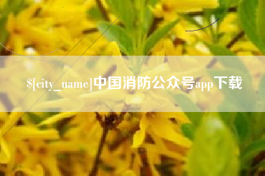 永新中国消防公众号app下载