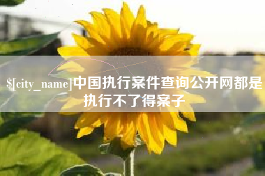 永新中国执行案件查询公开网都是执行不了得案子