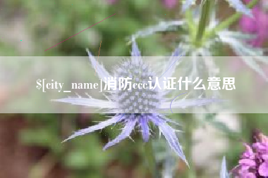 永新消防ccc认证什么意思