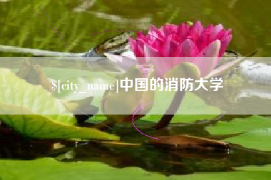 永新中国的消防大学