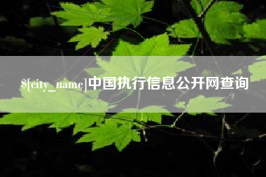 永新中国执行信息公开网查询