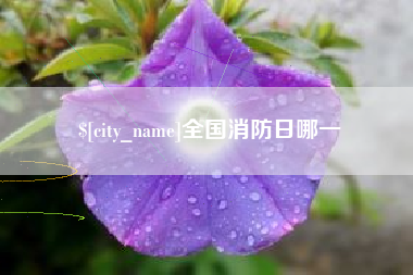 永新全国消防日哪一
