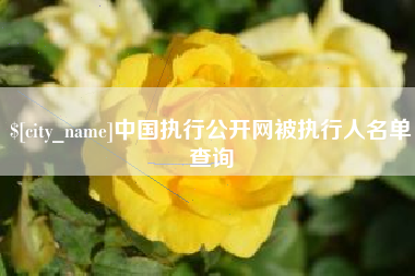 永新中国执行公开网被执行人名单查询