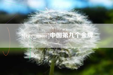 永新中国第九个金牌
