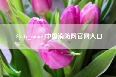 永新中国消防网官网入口