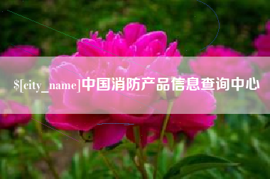 永新中国消防产品信息查询中心