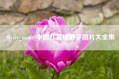 永新中国九宫格数字图片大全集
