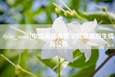 永新中国消防救援学院湖南招生情况公布