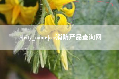 永新ccc消防产品查询网