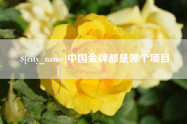 永新中国金牌都是哪个项目
