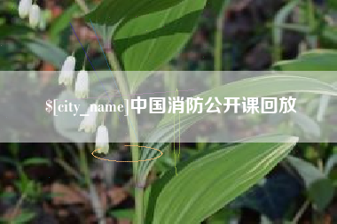 永新中国消防公开课回放