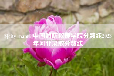 永新中国消防救援学院分数线2023年河北录取分数线