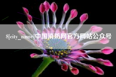 永新中国消防网官方网站公众号