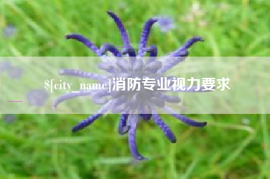 永新消防专业视力要求