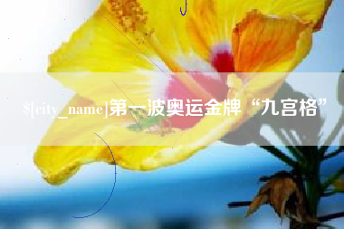 永新第一波奥运金牌“九宫格”