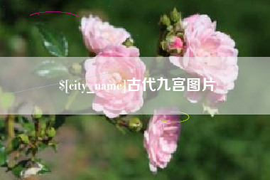 永新古代九宫图片