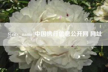 永新中国执行信息公开网 网址