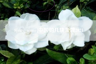 永新中国的几块金牌2021