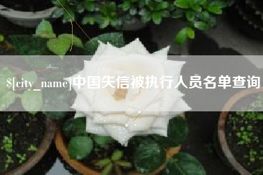 永新中国失信被执行人员名单查询