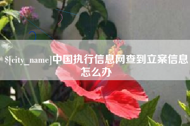 永新中国执行信息网查到立案信息怎么办