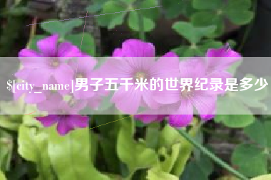 永新男子五千米的世界纪录是多少