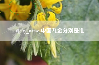 永新中国九金分别是谁