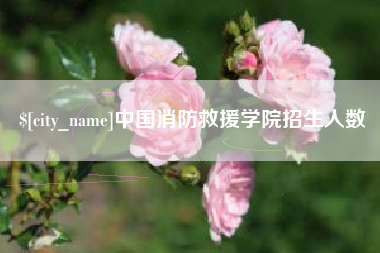 永新中国消防救援学院招生人数
