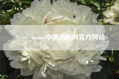 永新中国消防网官方网站