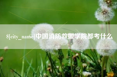 永新中国消防救援学院都考什么