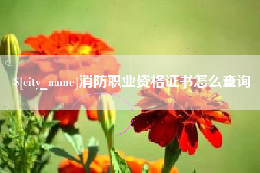 永新消防职业资格证书怎么查询
