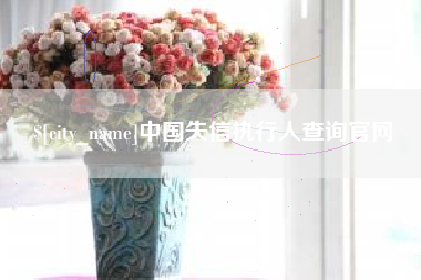 永新中国失信执行人查询官网