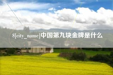 永新中国第九块金牌是什么