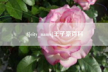 永新王子豪百科
